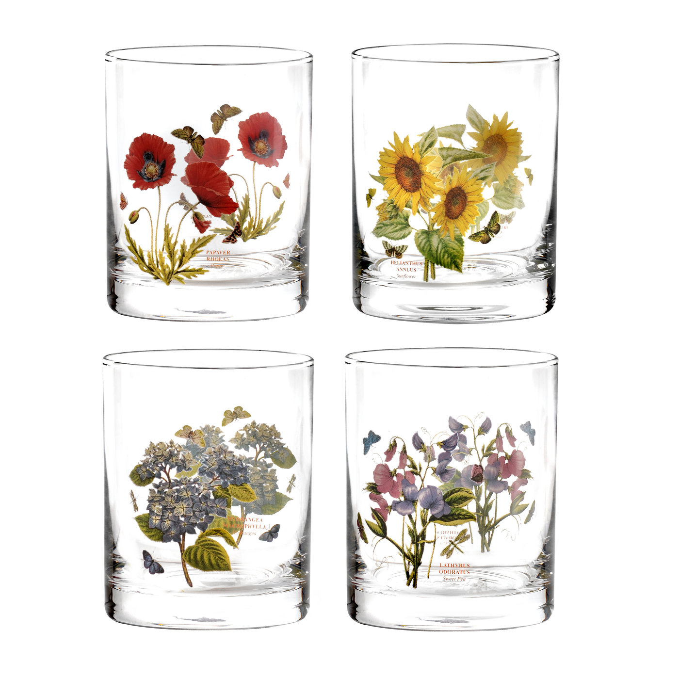 Botanic Garden 16 Ounce Set of 4 Double Old Fashioned Glasses (Assorted) image number null