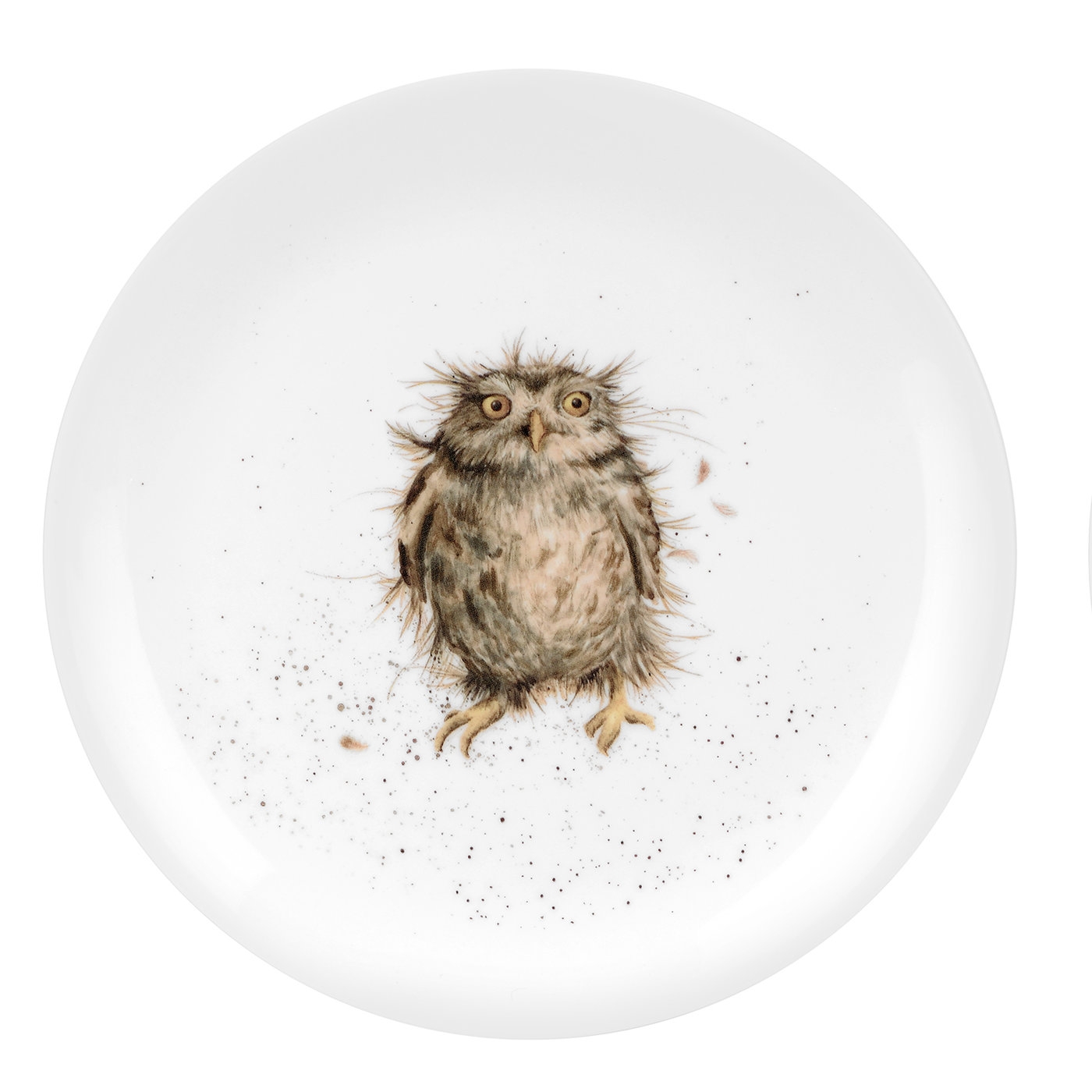 What A Hoot 8 Inch Plate (Owl) image number null