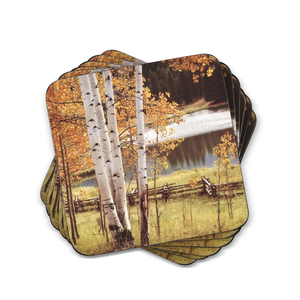 Birch Beauty Coasters Set of 6 image number null