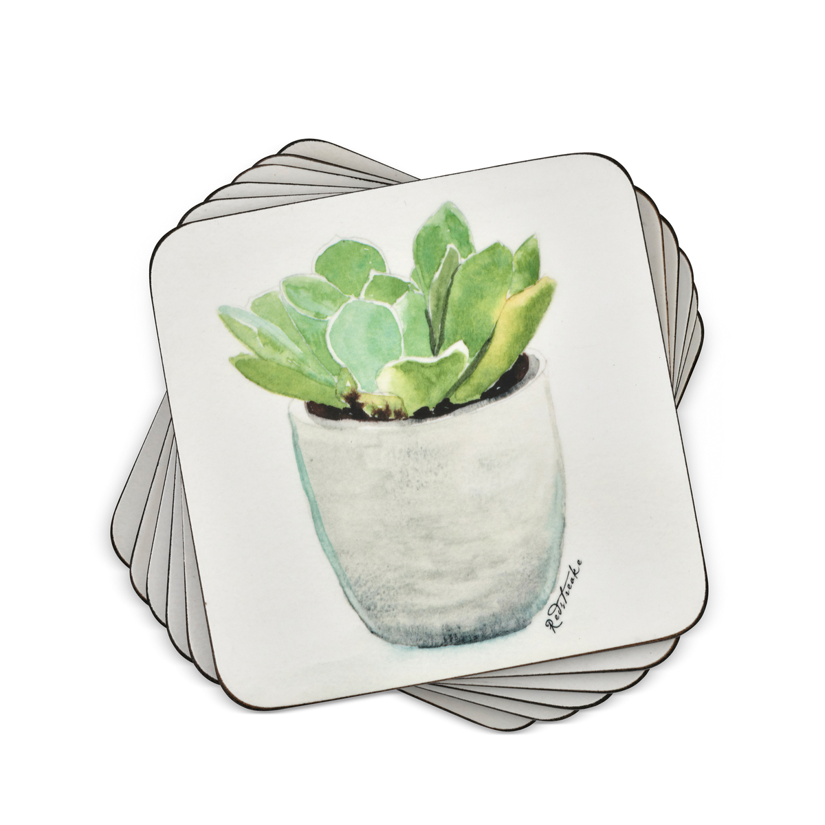 Pimpernel Succulents Coasters Set of 6 image number null