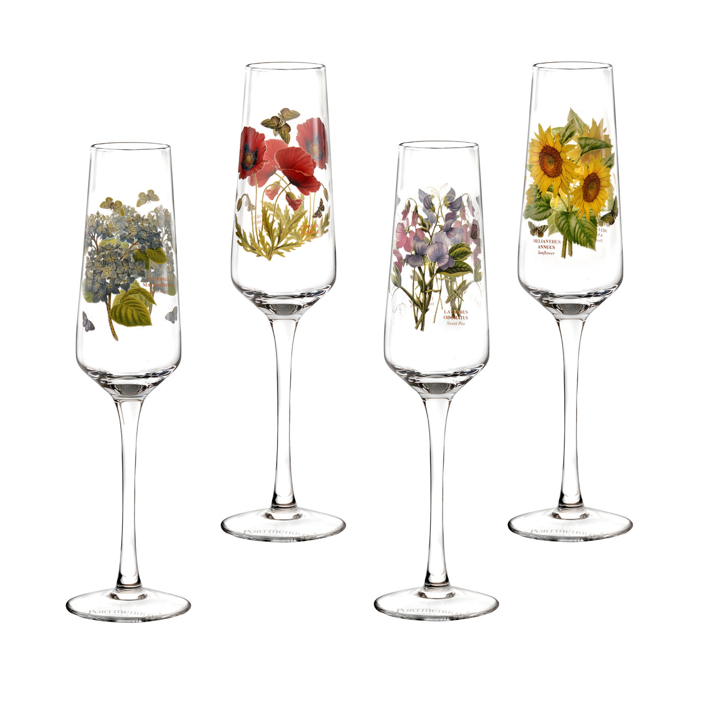 Botanic Garden 8 Ounce Set of 4 Champagne Flutes (Assorted) image number null