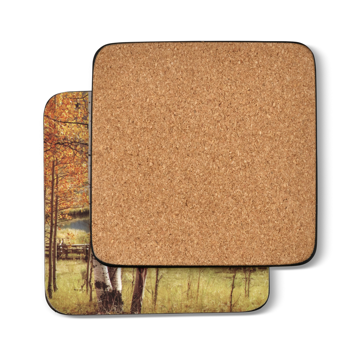 Pimpernel Birch Beauty Coasters Set of 6 image number null
